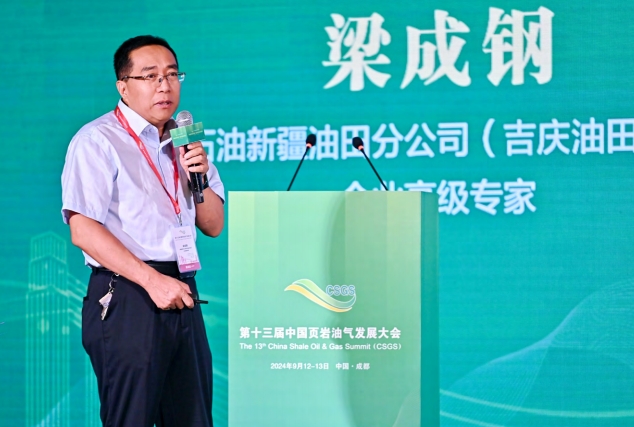 新疆吉木薩爾陸相頁巖油開發(fā) 關(guān)鍵技術(shù)